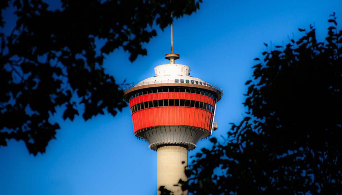 Best Vape in Calgary : Where to Buy Top Disposables in Calgary | LemonVape Canada